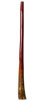 Tristan O'Meara Didgeridoo (TM302)